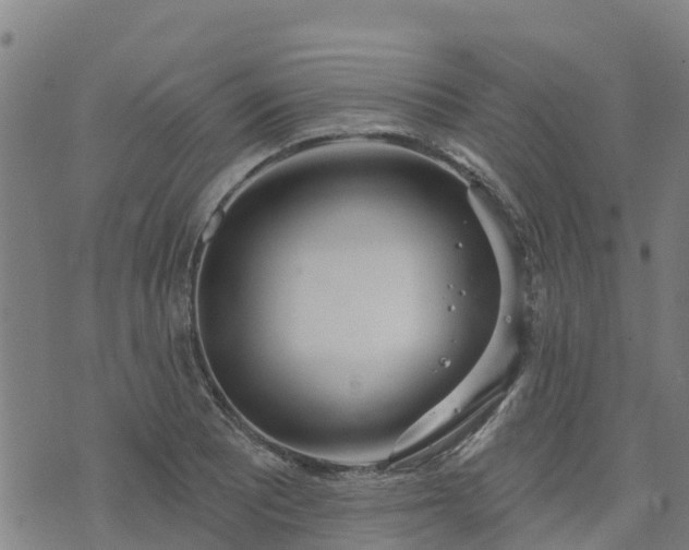 X0000074941081200609081345