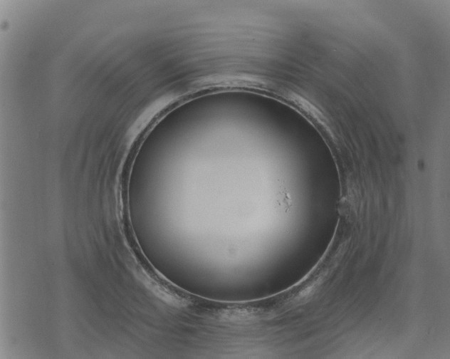 X0000074941082200609081345