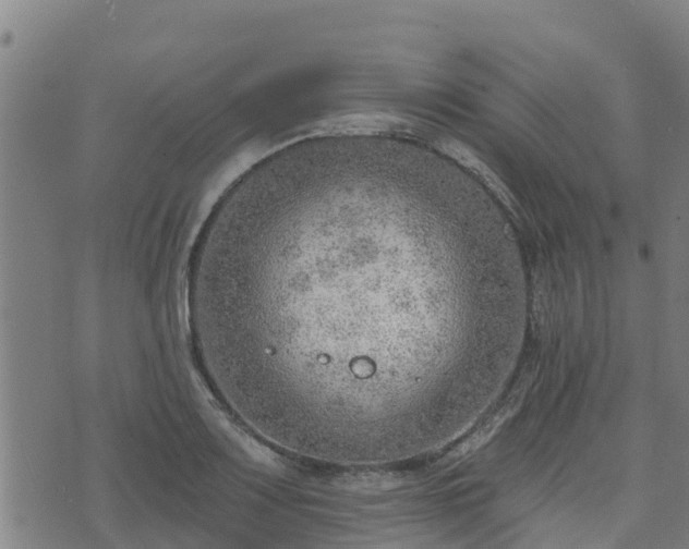 X0000074941083200609081345