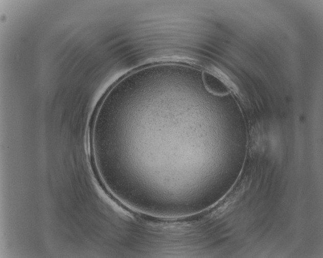 X0000074941084200609081345