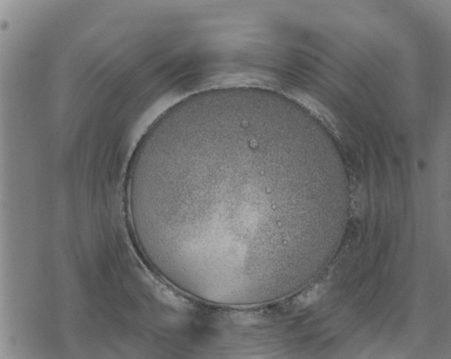 X0000074941086200609081345