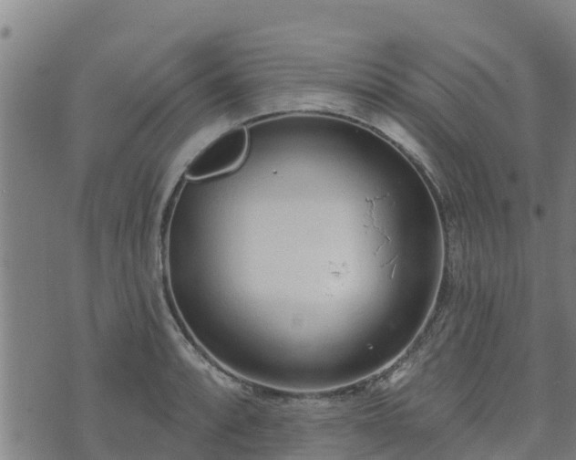 X0000074941088200609081345