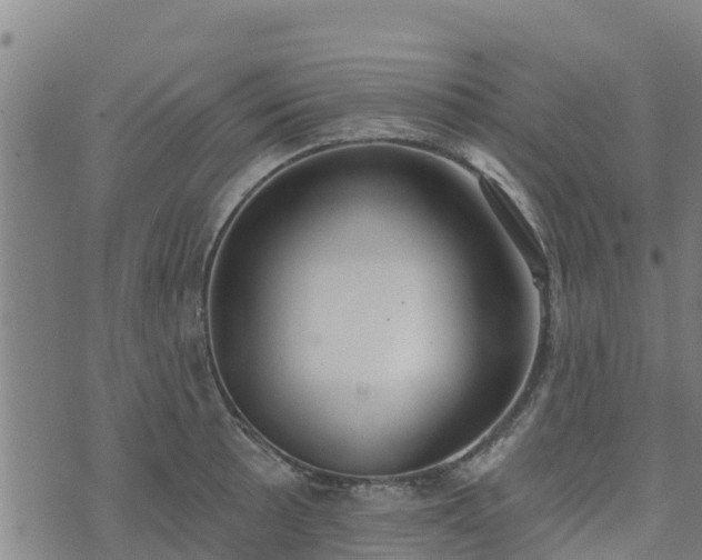 X0000074941089200609081345