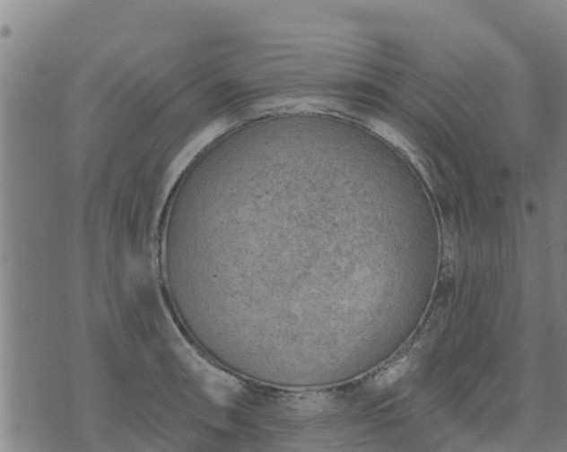 X0000074941090200609081345