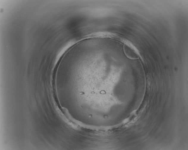 X0000074941091200609081345