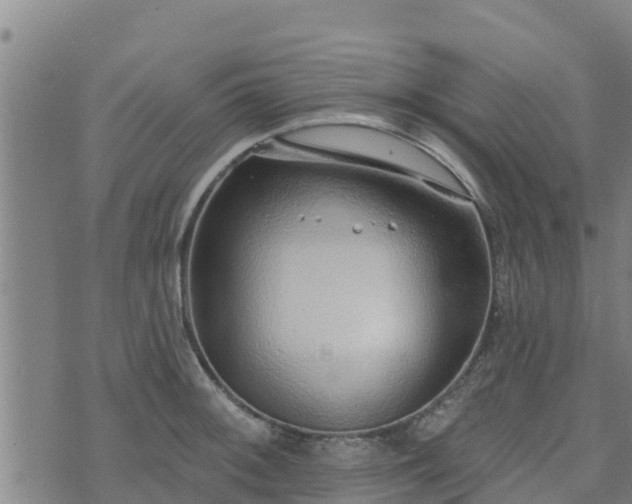 X0000074941092200609081345