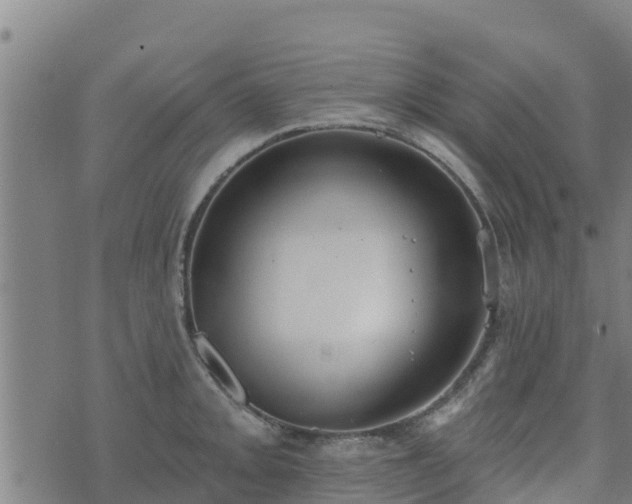 X0000074941093200609081345