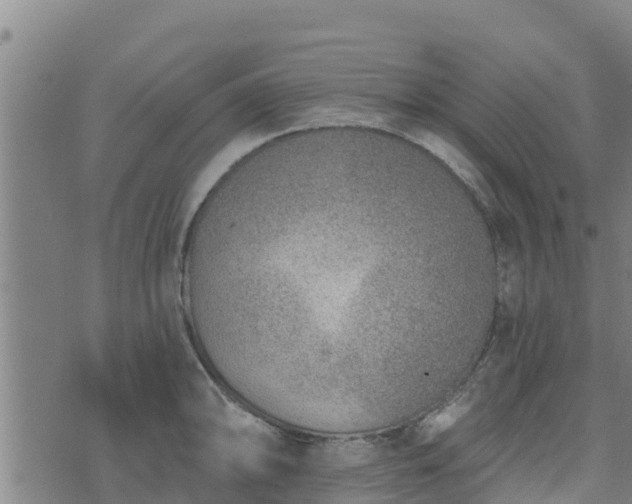 X0000074941094200609081345