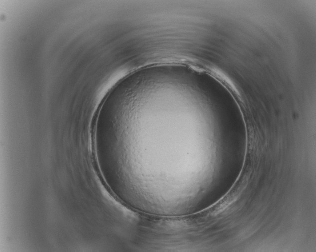 X0000074941095200609081345