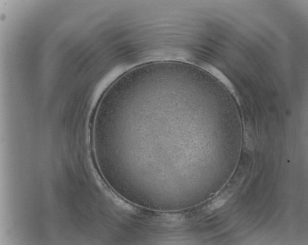 X0000074941096200609081345