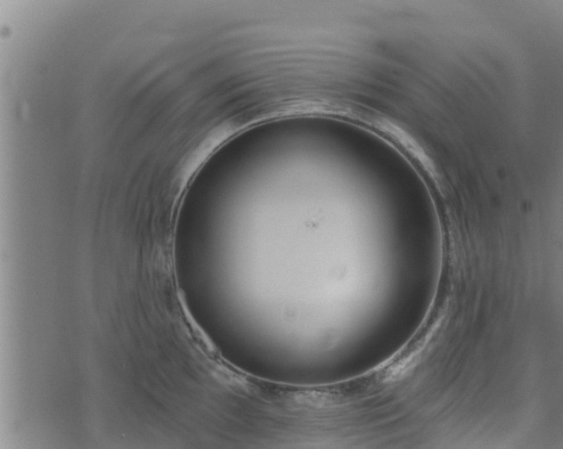 X0000074941097200609081345