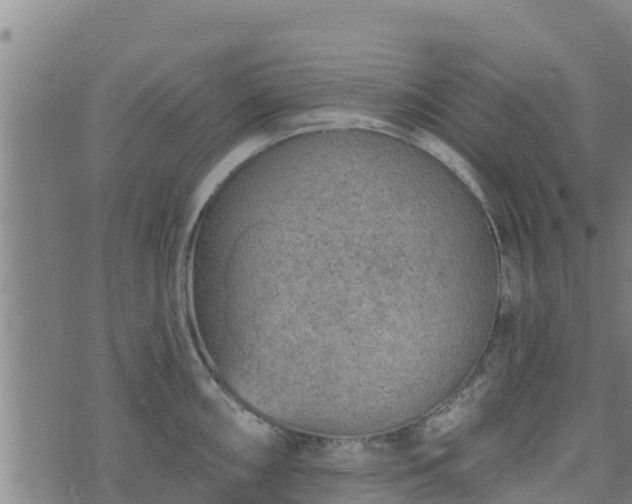 X0000074941098200609081345