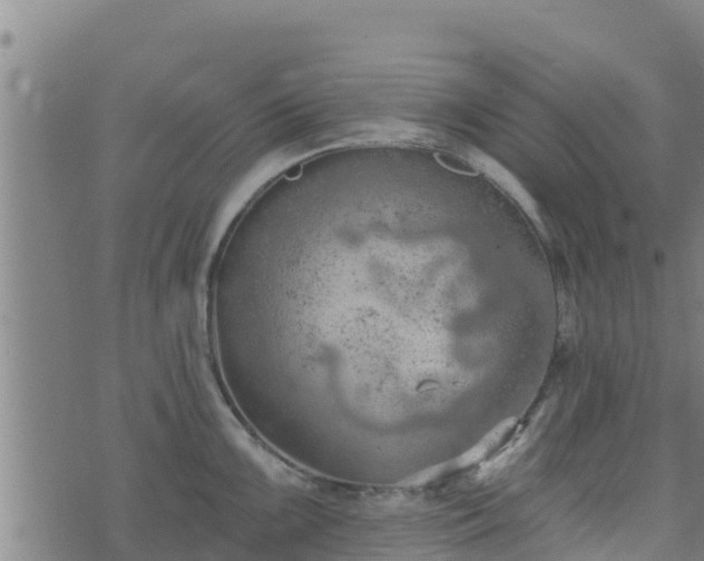 X0000074941099200609081345