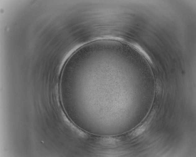 X0000074941100200609081344