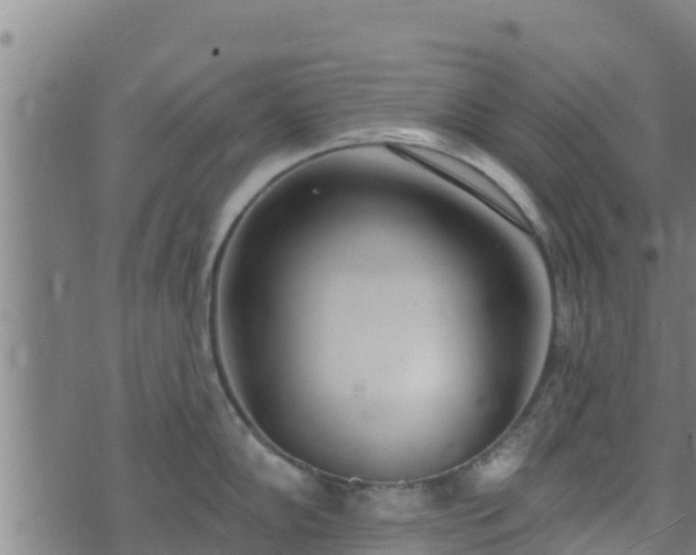 X0000074941102200609081344