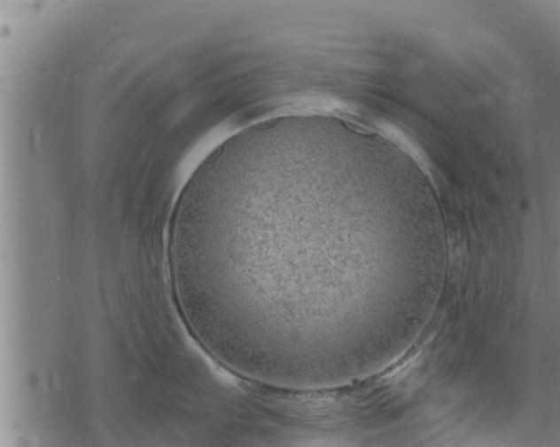 X0000074941103200609081344