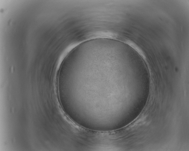 X0000074941104200609081344