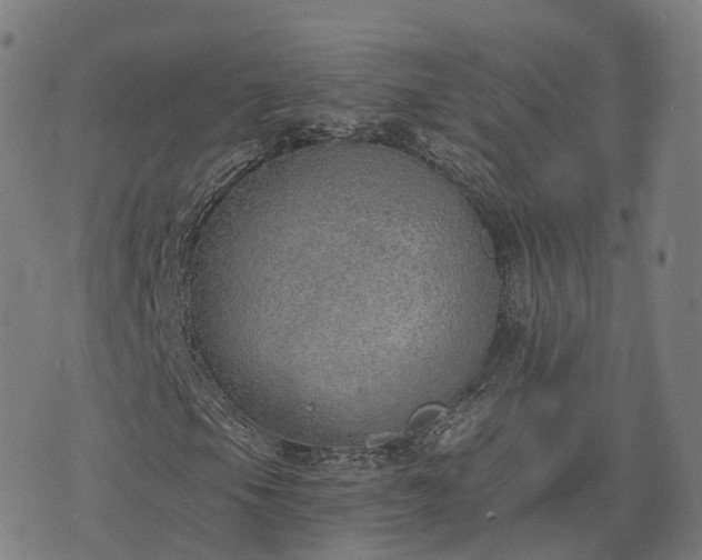 X0000074941105200609081344