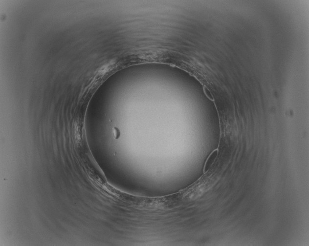 X0000074941106200609081344