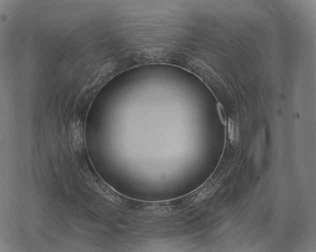 X0000074941107200609081344