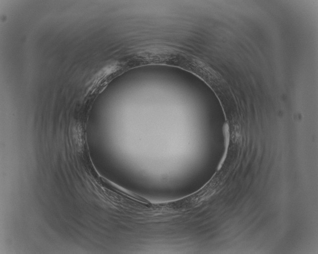 X0000074941108200609081344