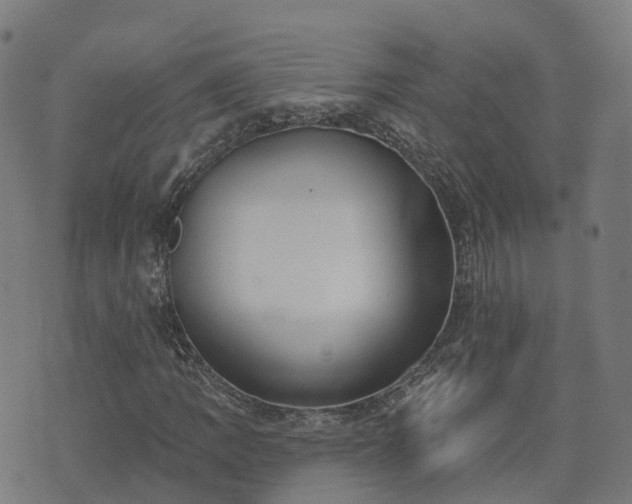 X0000074941109200609081344