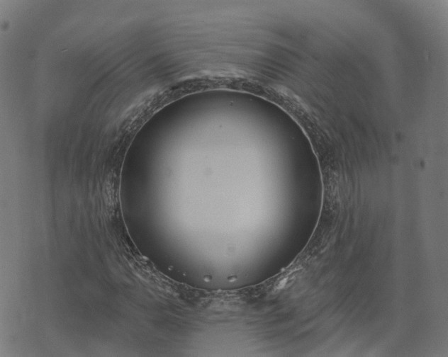 X0000074941110200609081344