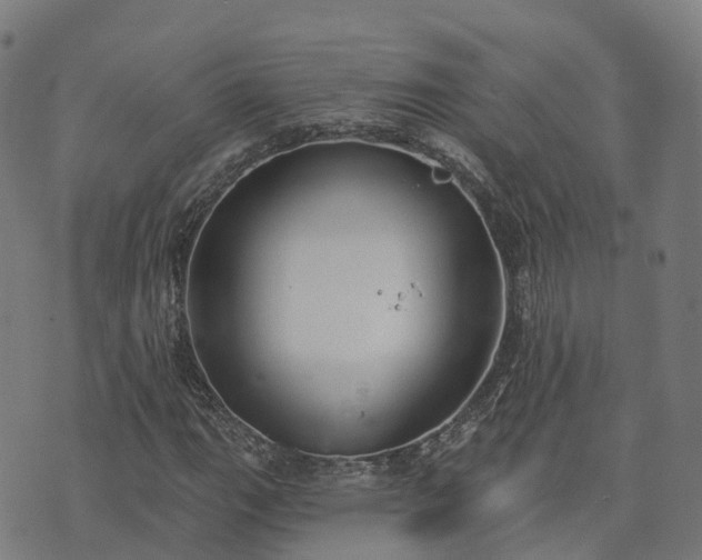 X0000074941111200609081344