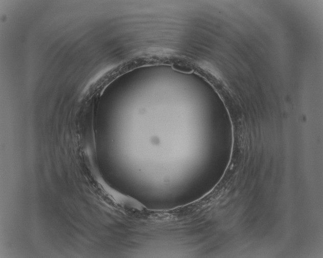 X0000074941112200609081344