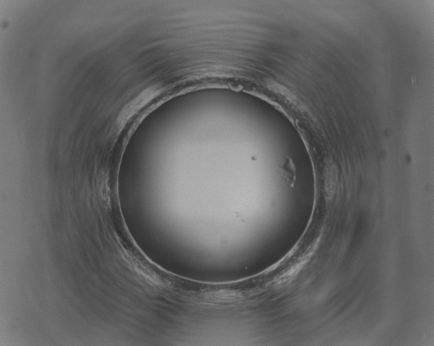 X0000074941113200609081344