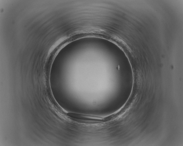 X0000074941114200609081344