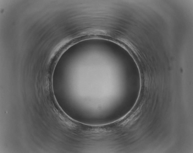 X0000074941115200609081344