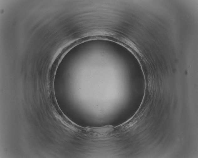 X0000074941116200609081344