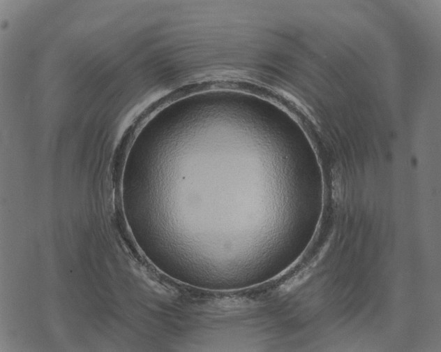 X0000074941117200609081344