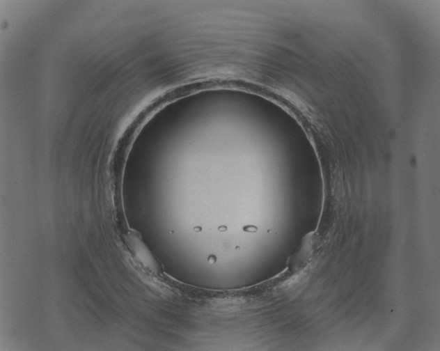 X0000074941118200609081344