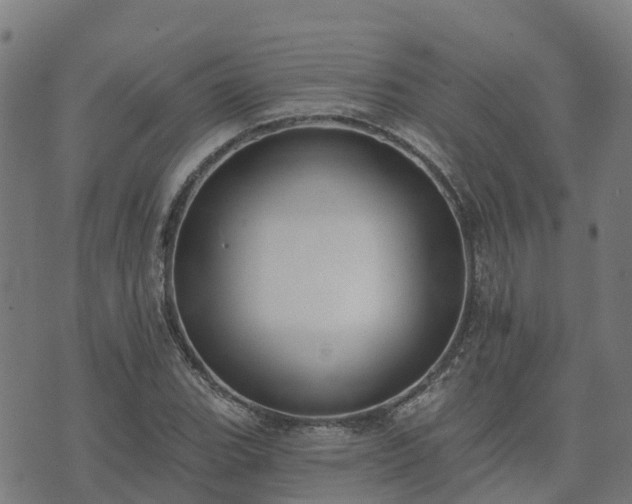 X0000074941119200609081344