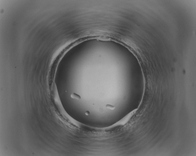 X0000074941120200609081344