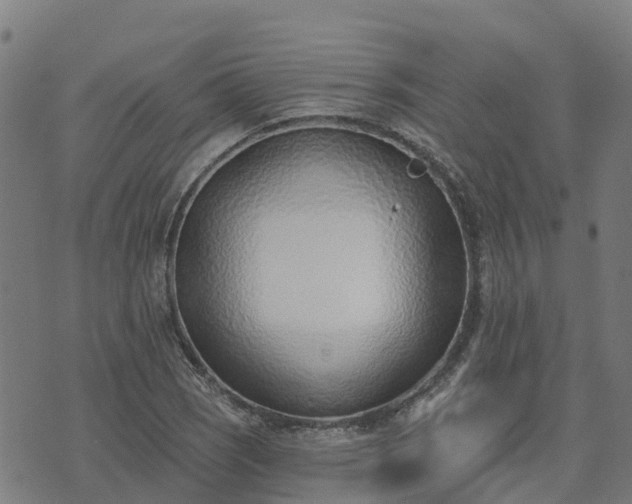 X0000074941121200609081344