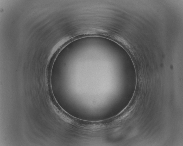 X0000074941122200609081344