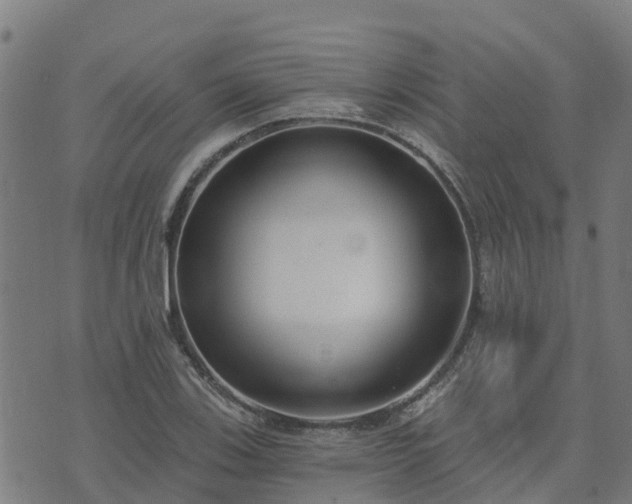 X0000074941123200609081344