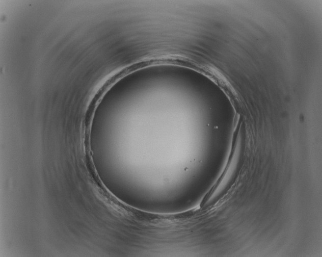 X0000074941124200609081344