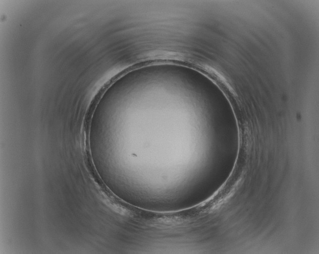 X0000074941125200609081344