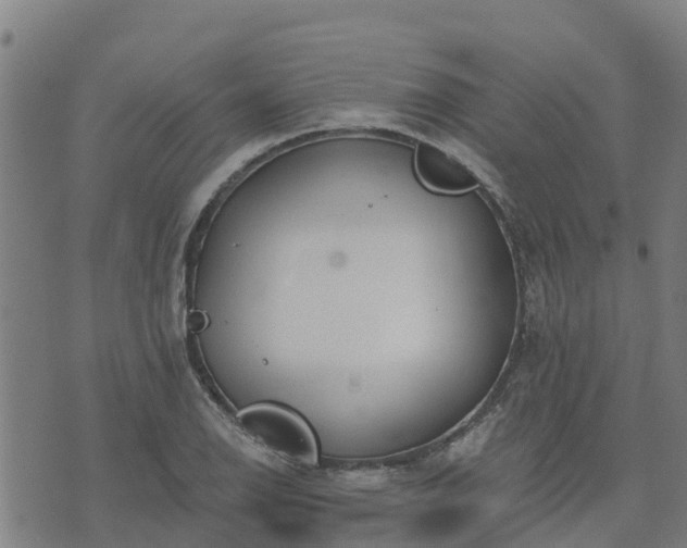 X0000074941126200609081344