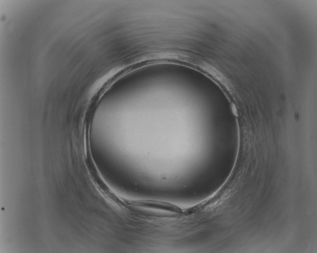 X0000074941127200609081344