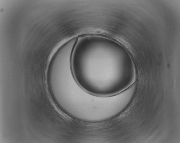 X0000074941128200609081344