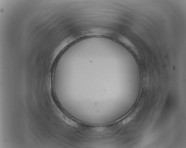 X0000074941130200609081344