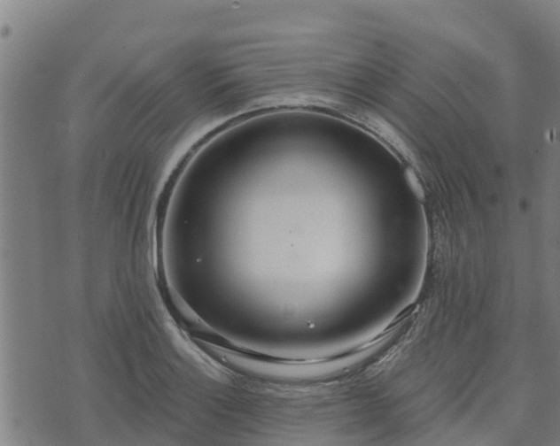 X0000074941132200609081344