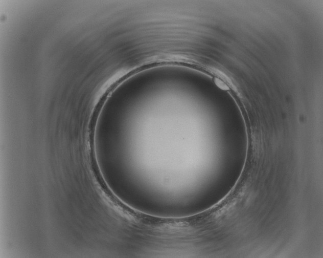 X0000074941133200609081344