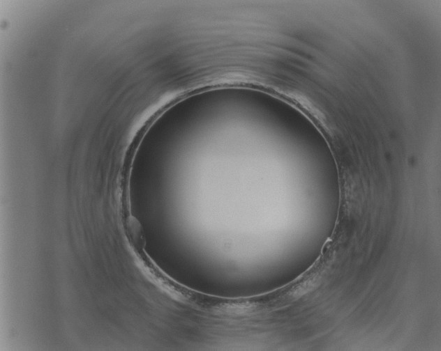 X0000074941134200609081344