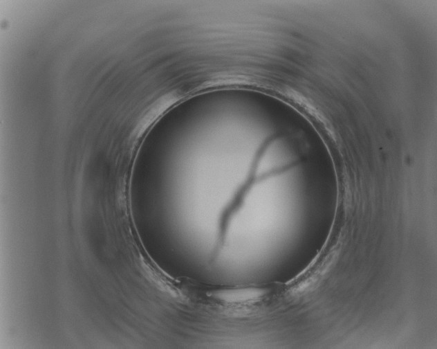 X0000074941137200609081344